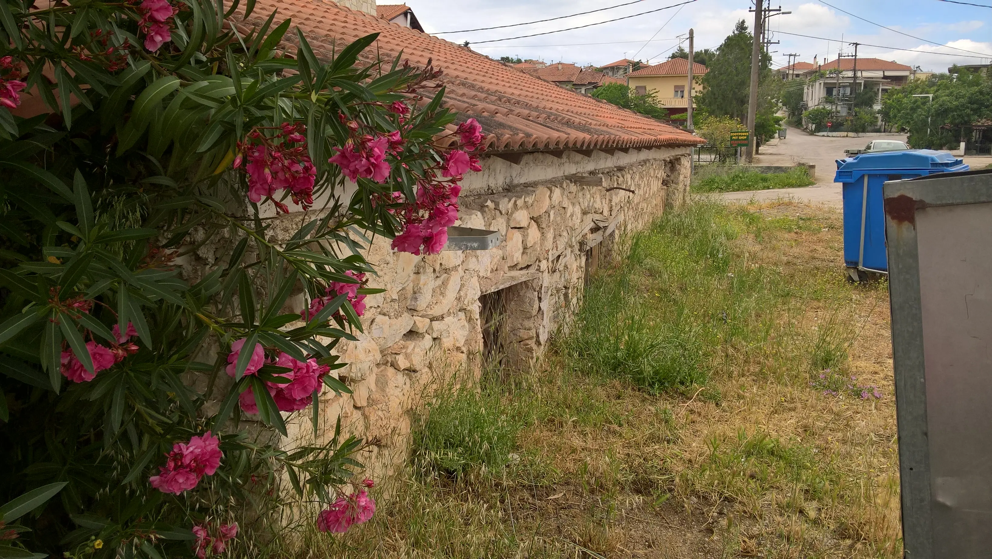 Μελέτη Μουσείου Ελιάς